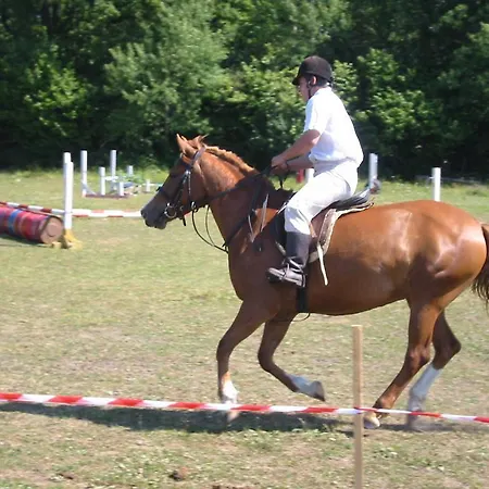 Koljala Puhkekuela *