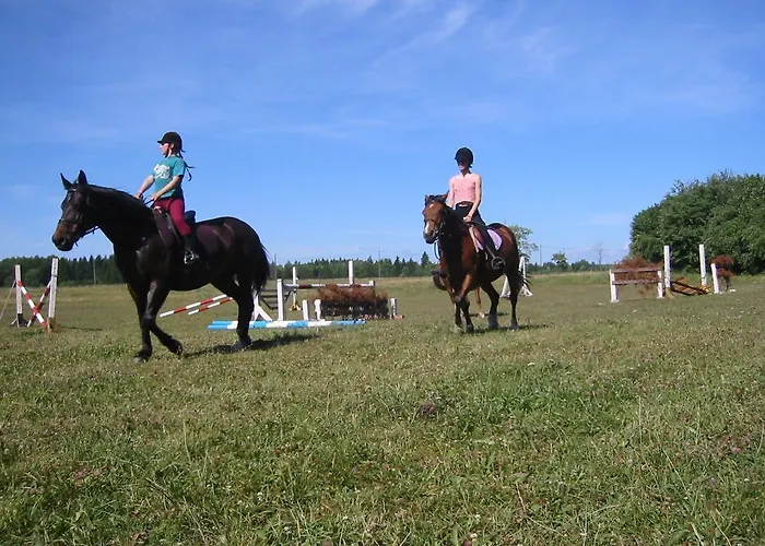 Koljala Puhkekula Kaali